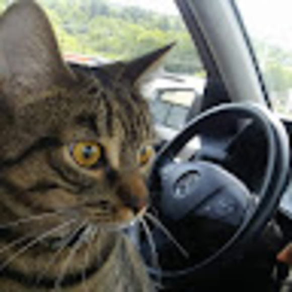 Meet your Posher, Mini - Picture 1 of 1